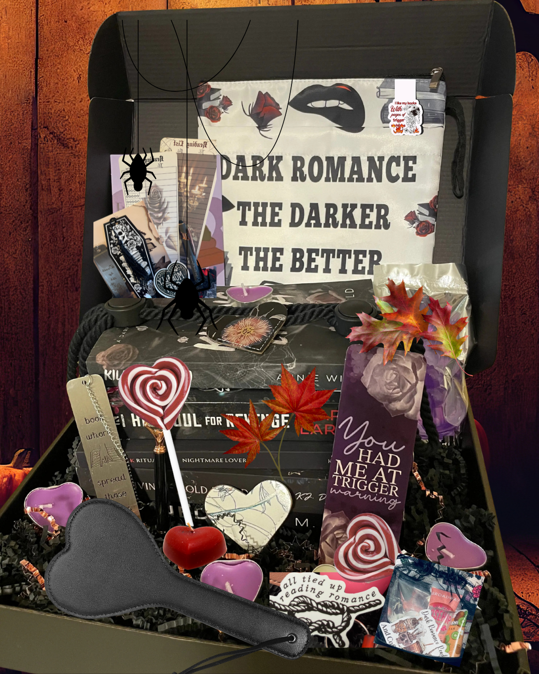 SPICY GAY Dark Romance Book Box